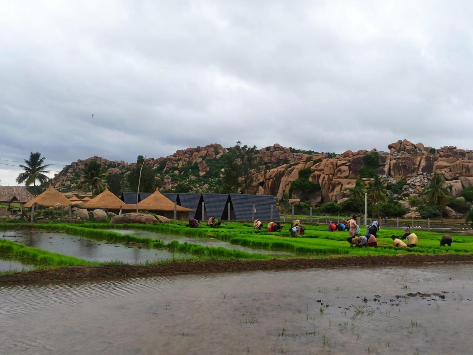 Golden Chariot Resort Hampi Exteriör bild